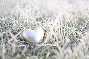 Counselling Blog. Silver heart